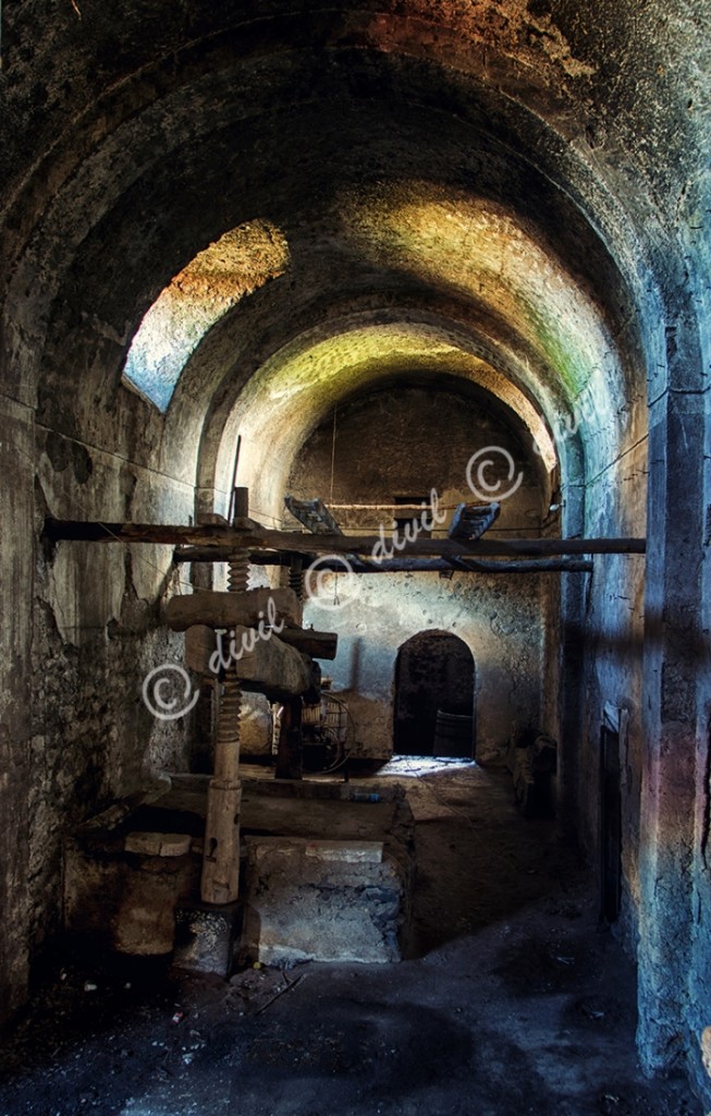 10 Di Lecce Franco - Vesuvioweb 2015