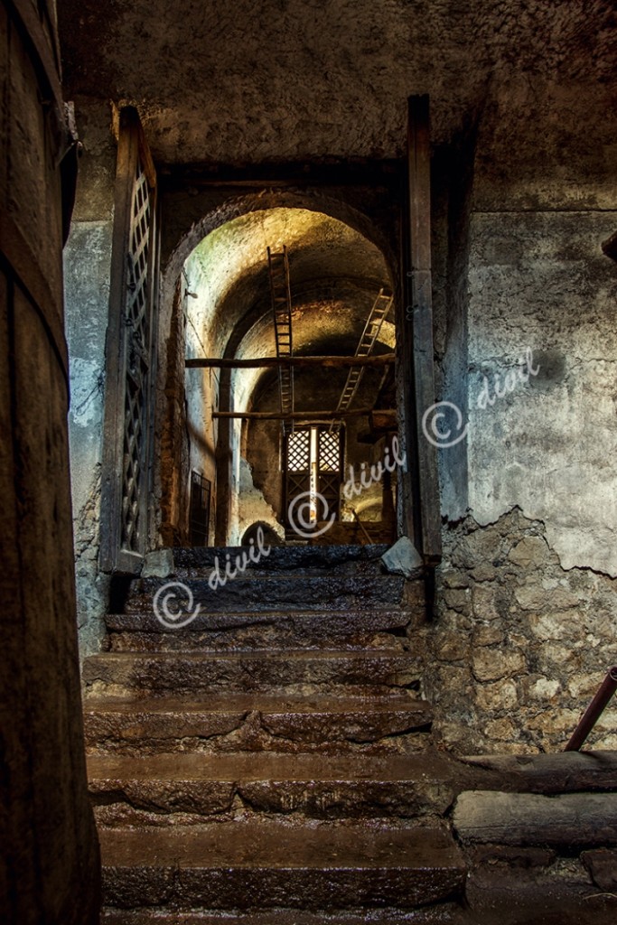 14 Di Lecce Franco - Vesuvioweb 2015