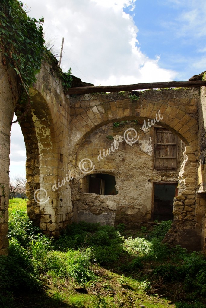 18 Di Lecce Franco - Vesuvioweb 2015