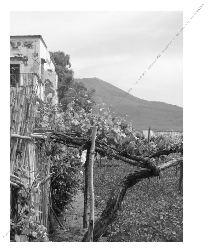 2 Villa de Ruggiero - vesuvioweb 2015