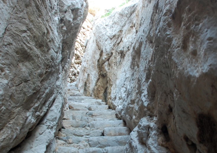 icona campanella1