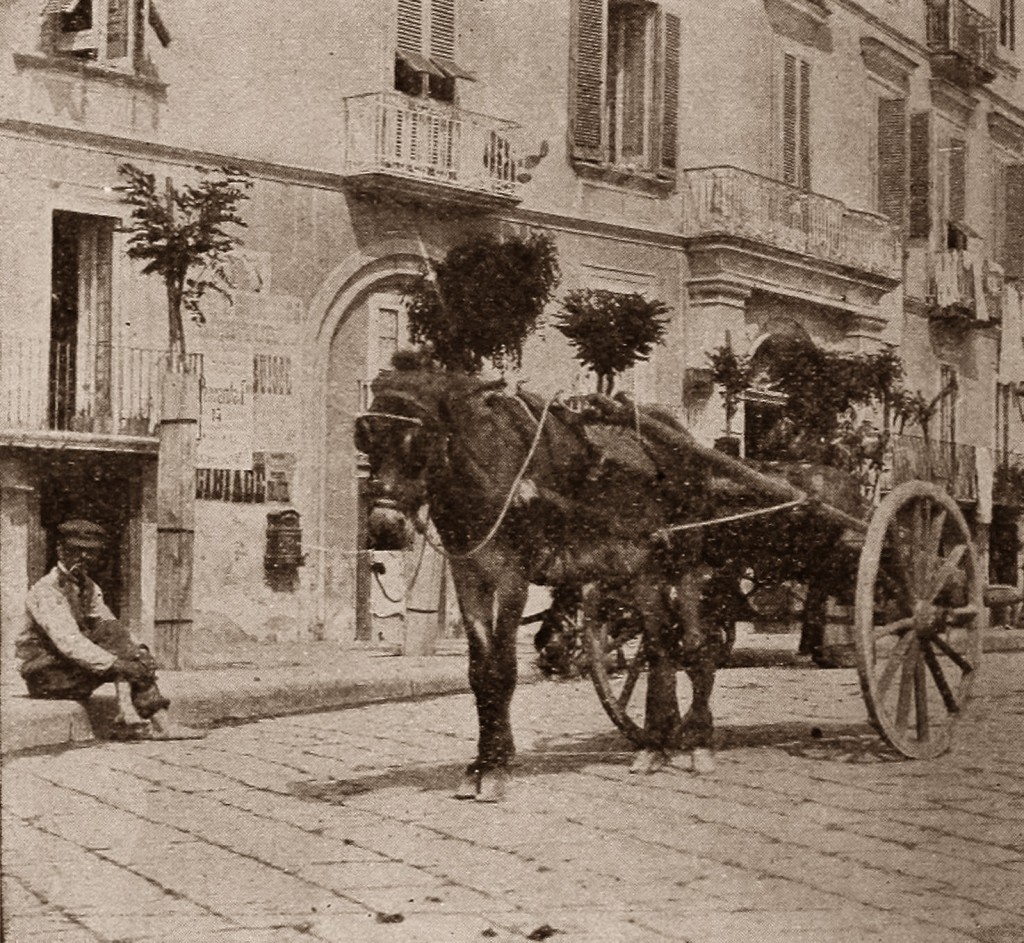 icona carretti1
