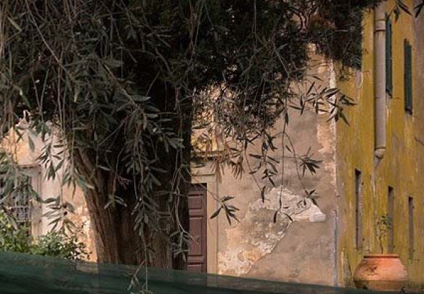 icona novembre1