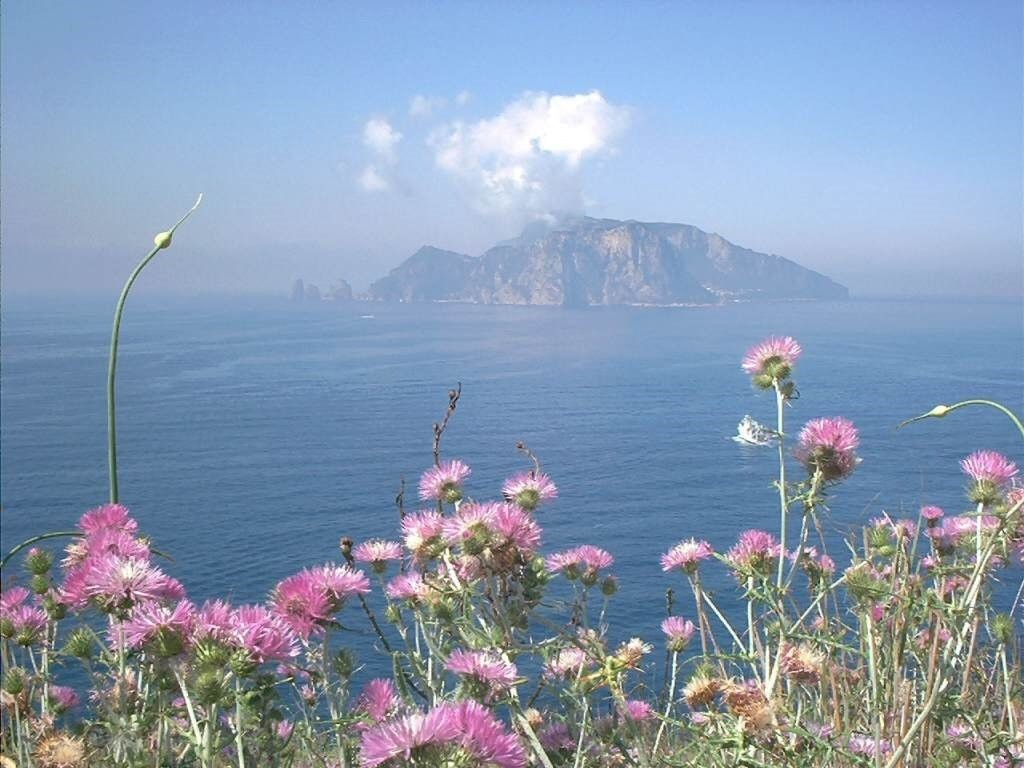 icona sole