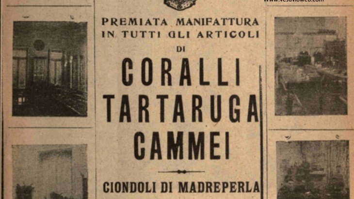 icona tartaruga2