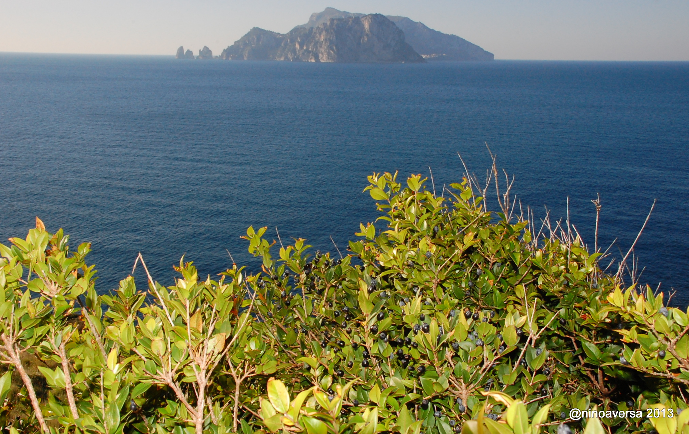 16 Punta Campanella di Nino Aversa
