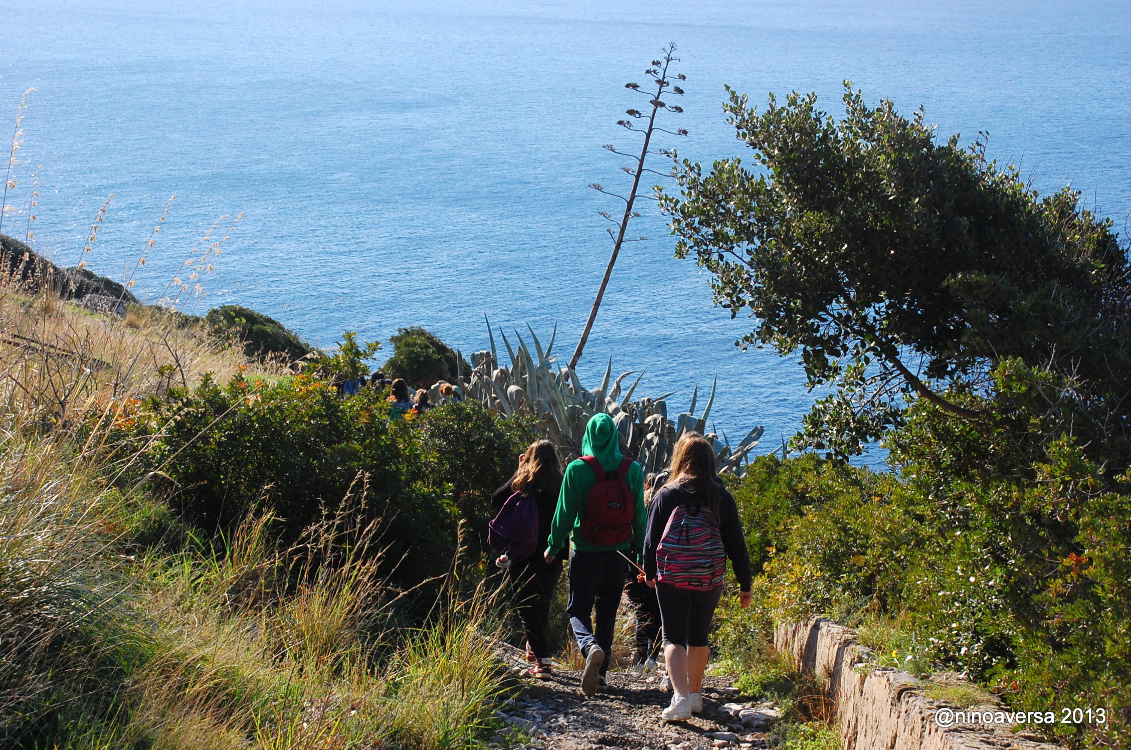8 Punta Campanella di Nino Aversa