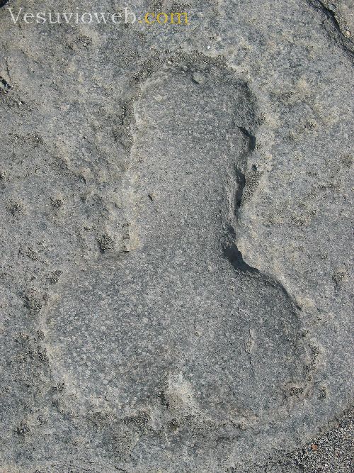 Pompei eros 35